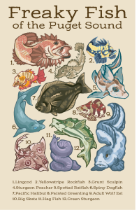 Informational poster of 12 different types of fish that can be found in the Puget sound